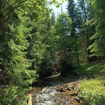 Kodru Chalet Vatra Dornei